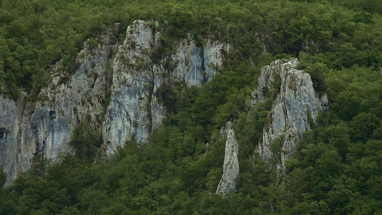 Slika oddaje
