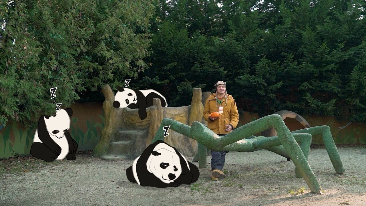 Slika oddaje
