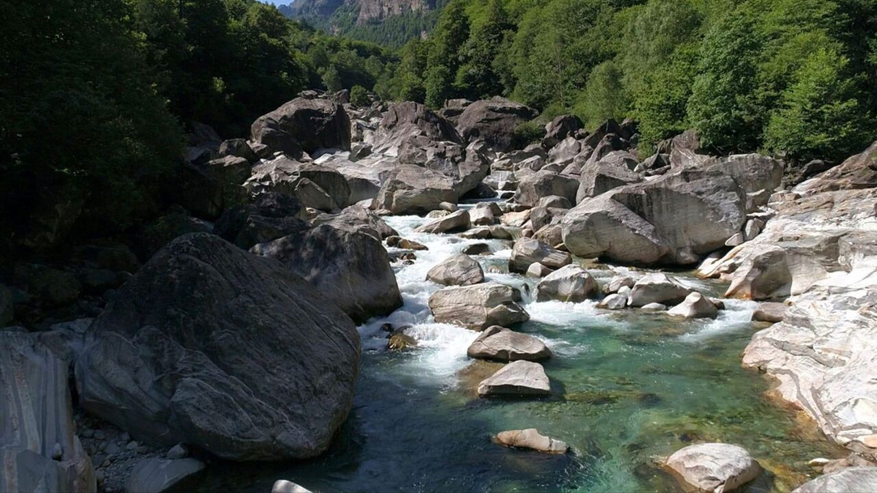Slika oddaje