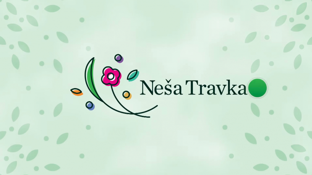 Slika oddaje