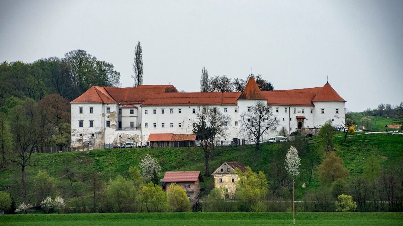 Slika oddaje