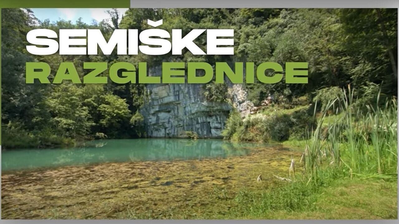 Slika oddaje