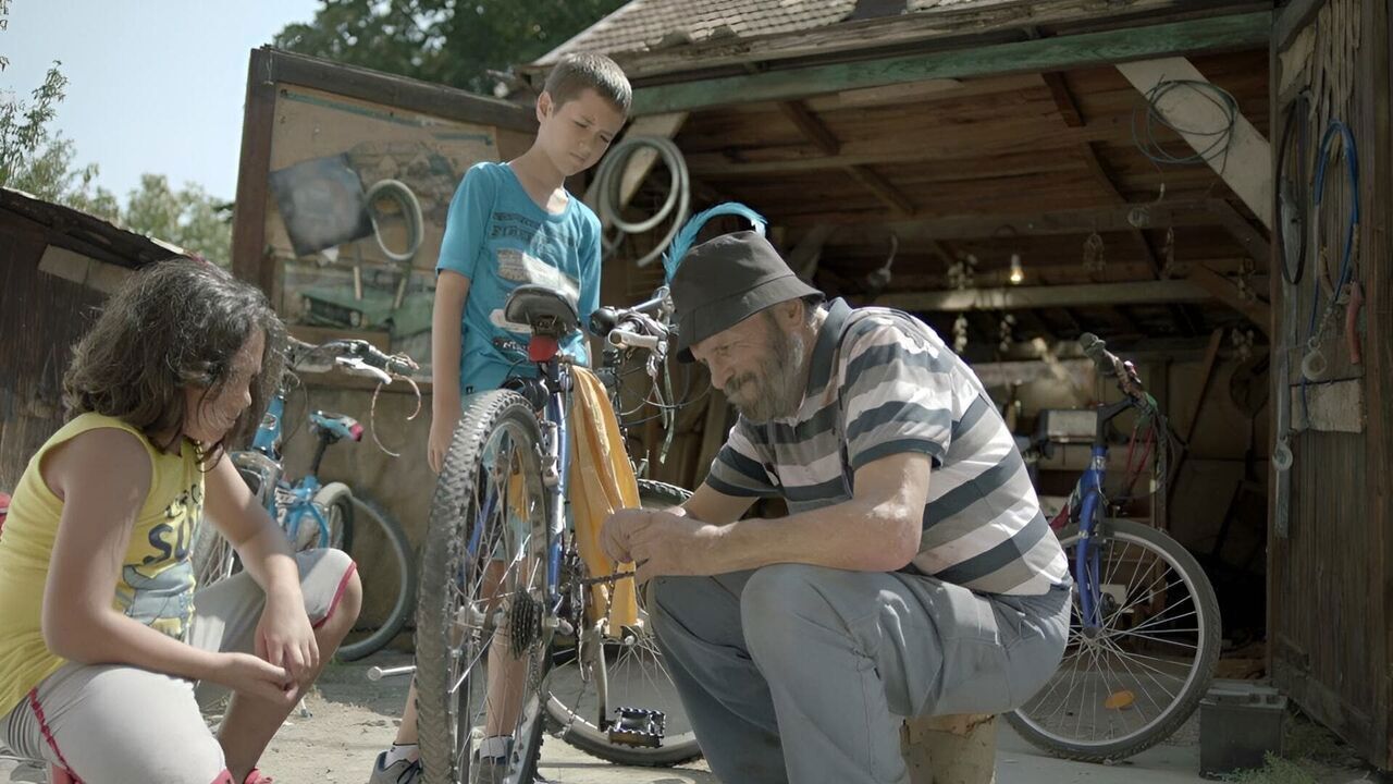 Slika oddaje