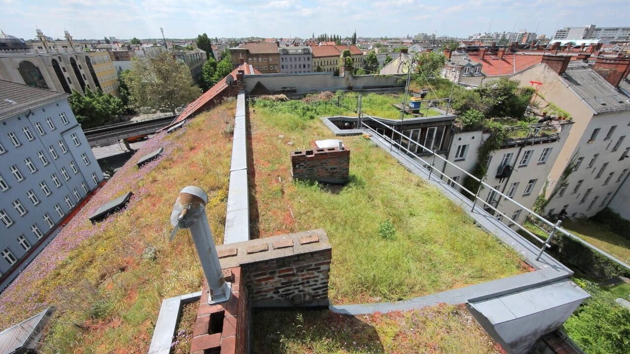 Slika oddaje