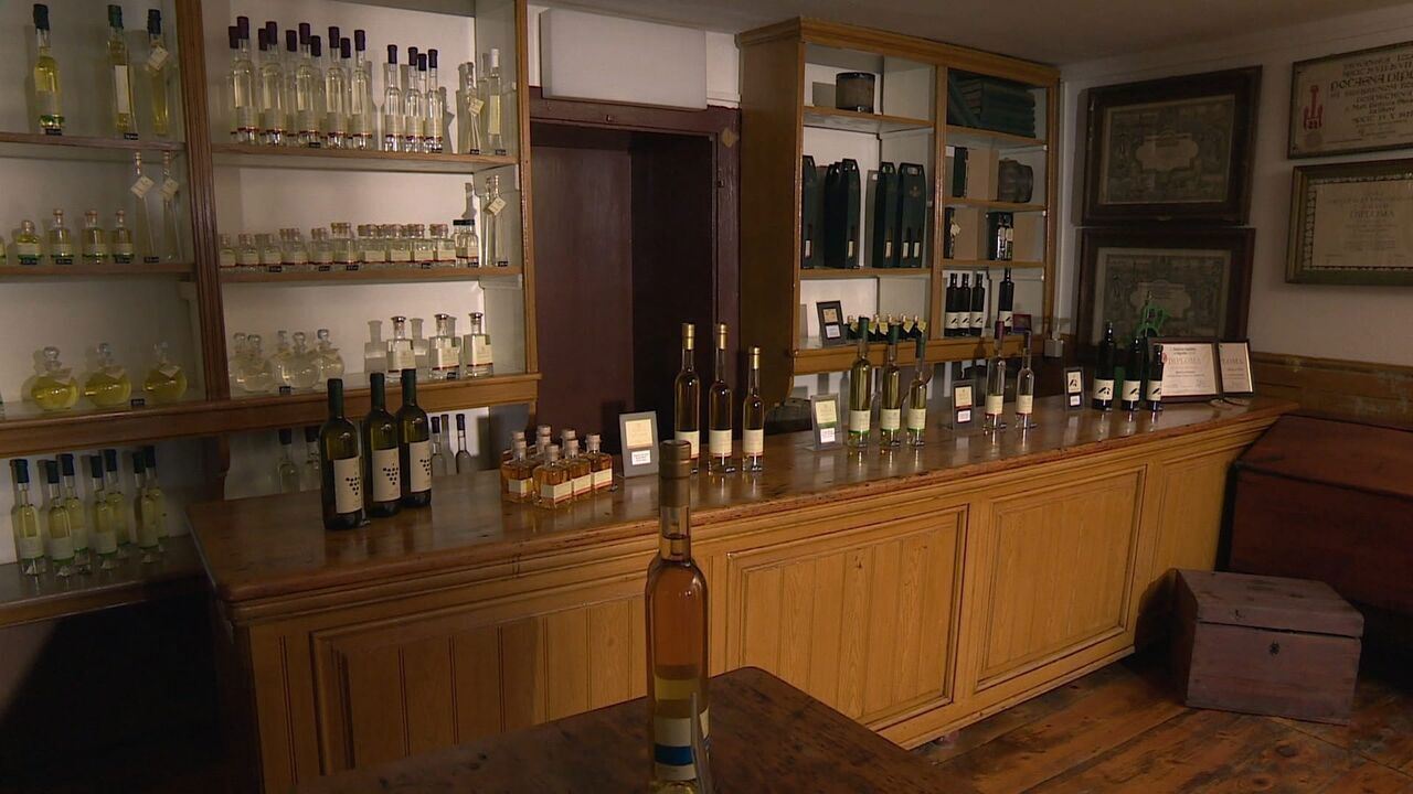 Slika oddaje