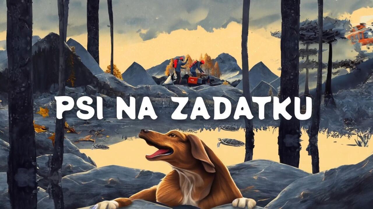 Slika oddaje