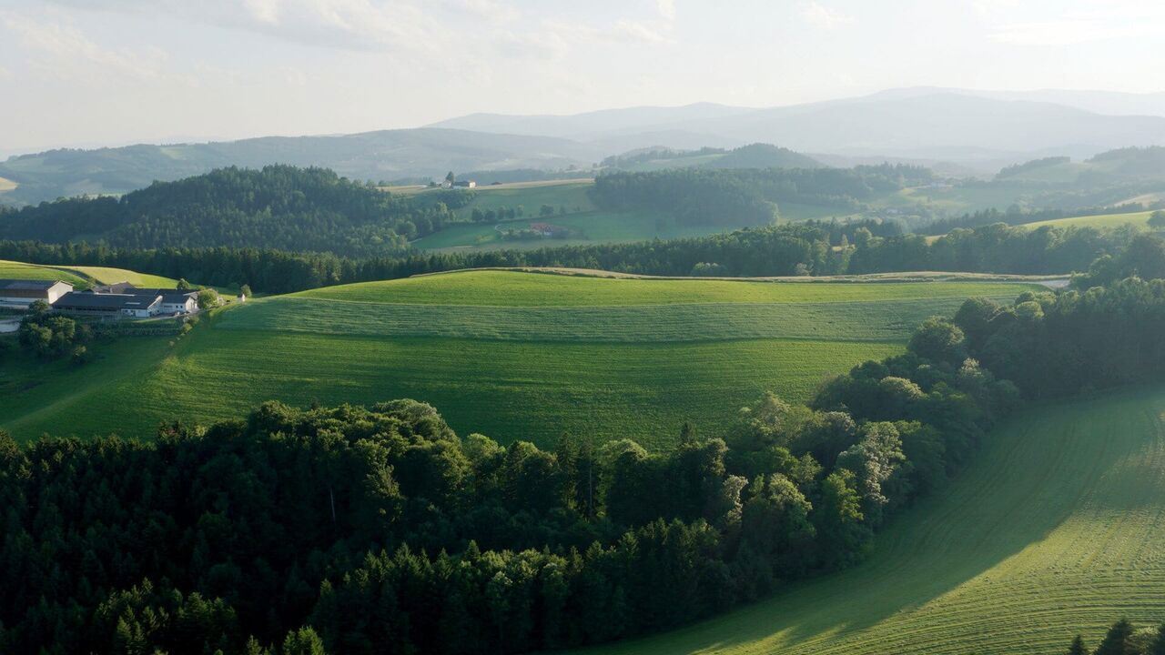 Slika oddaje