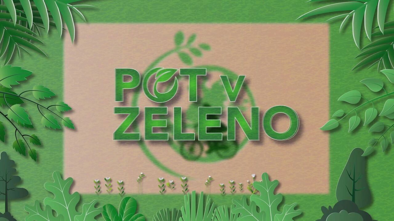 Slika oddaje