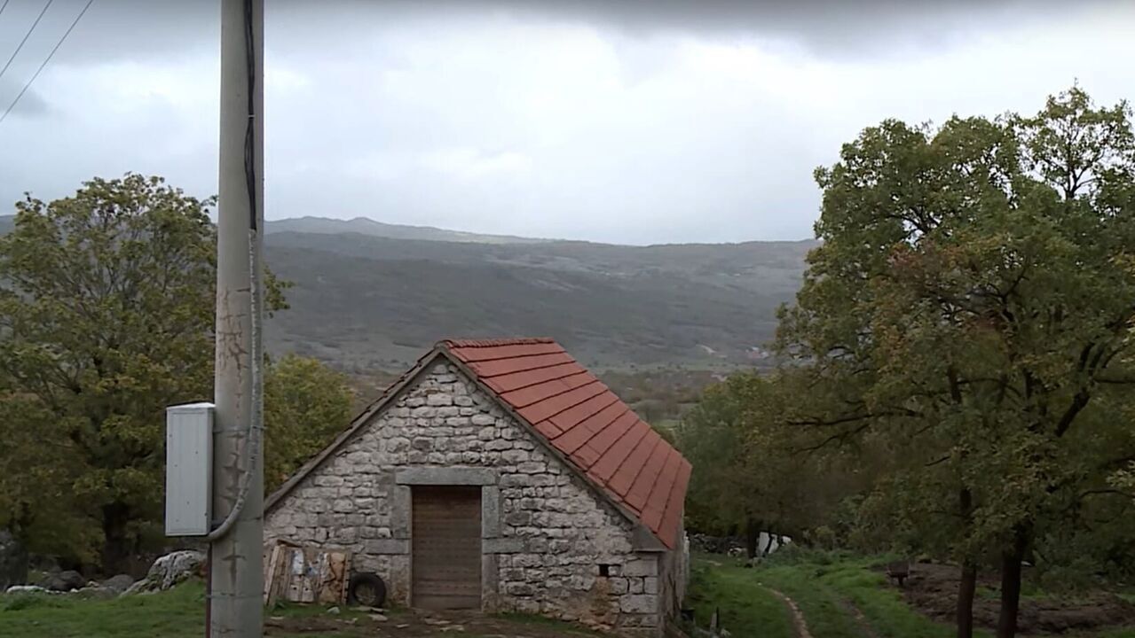 Slika oddaje