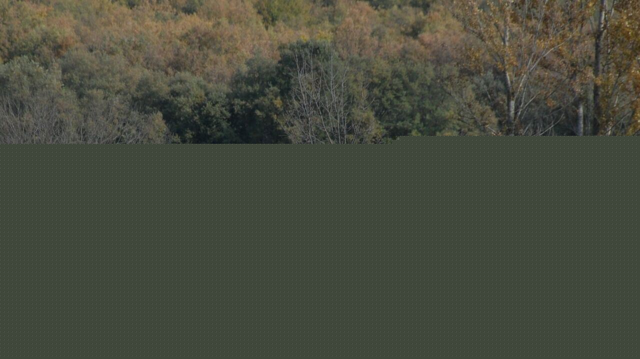 Slika oddaje