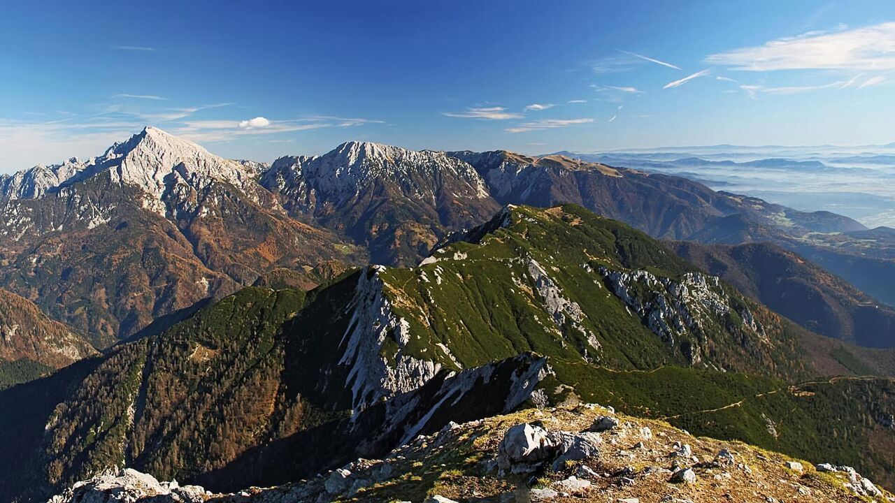 Slika oddaje