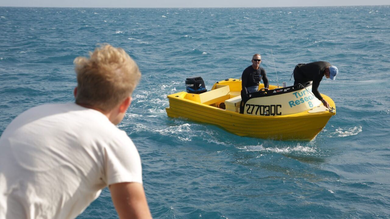 Slika oddaje