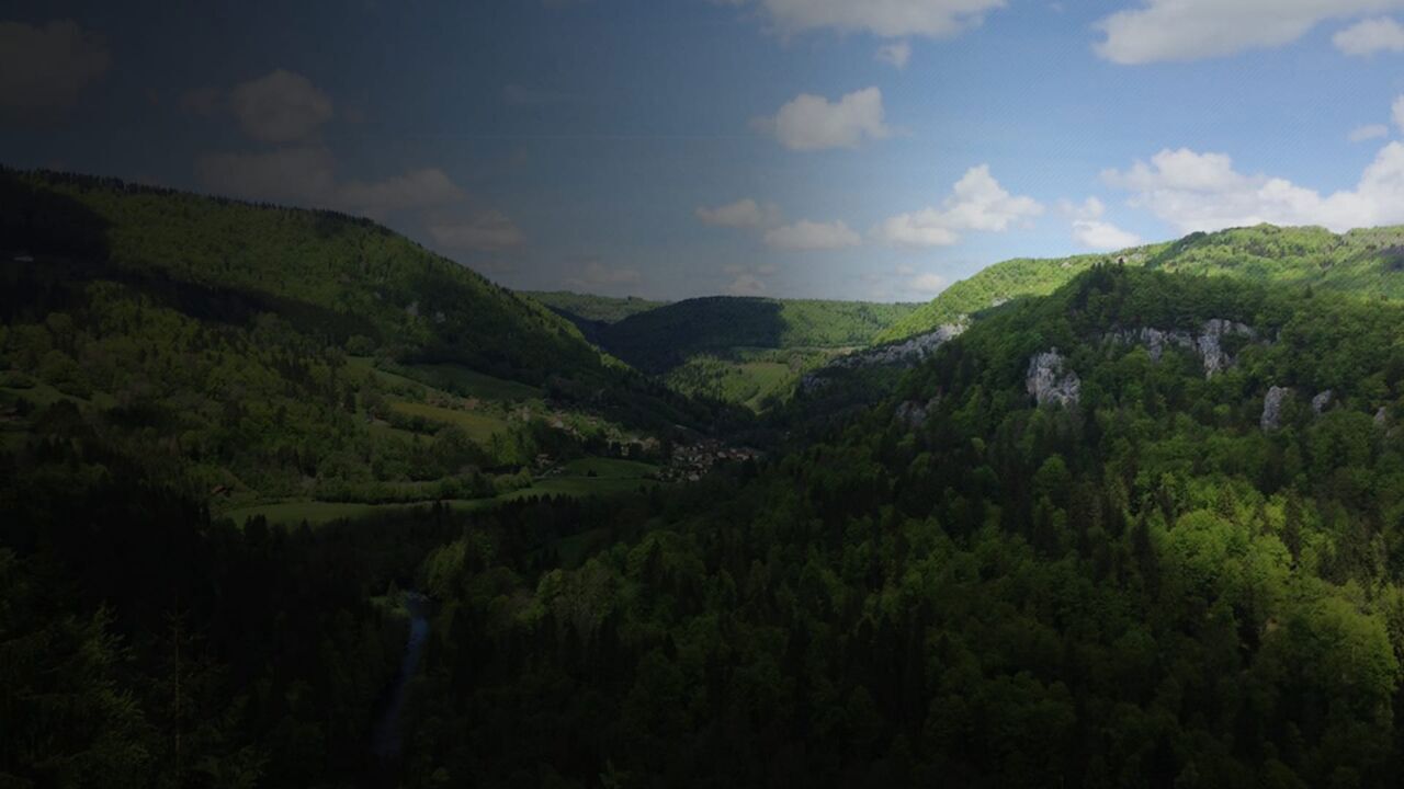 Slika oddaje