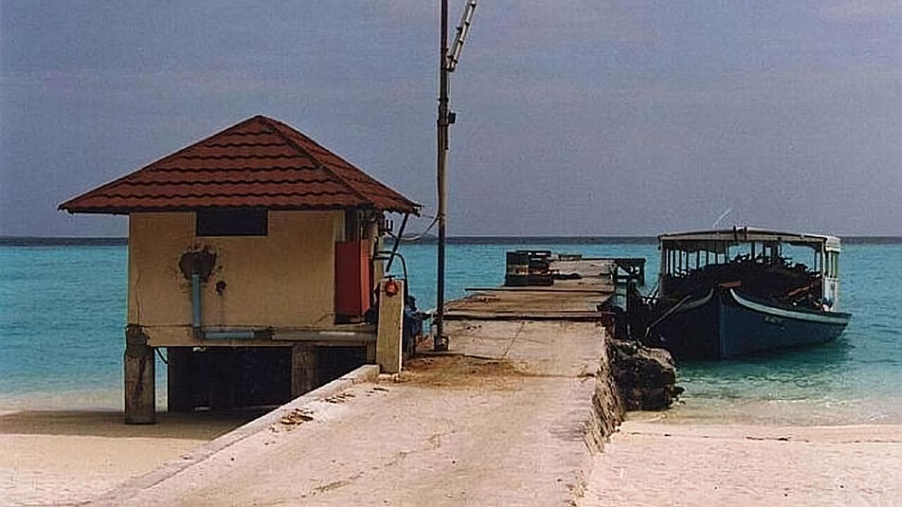 Slika oddaje