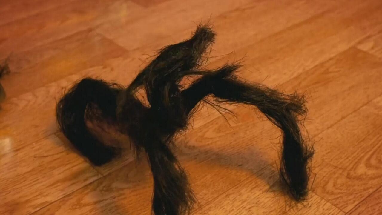 Slika oddaje