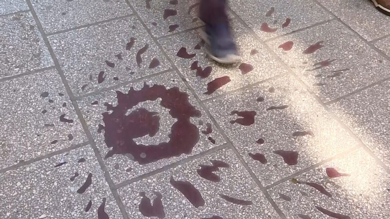 Slika oddaje