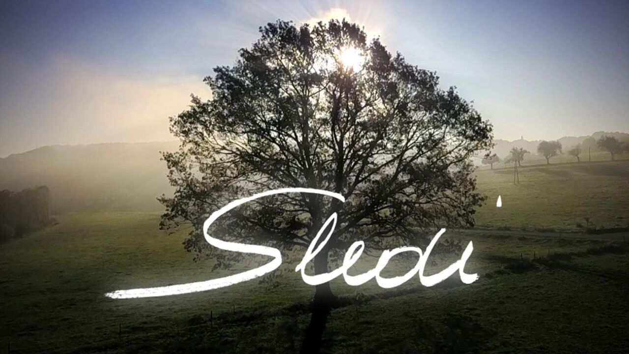 Slika oddaje