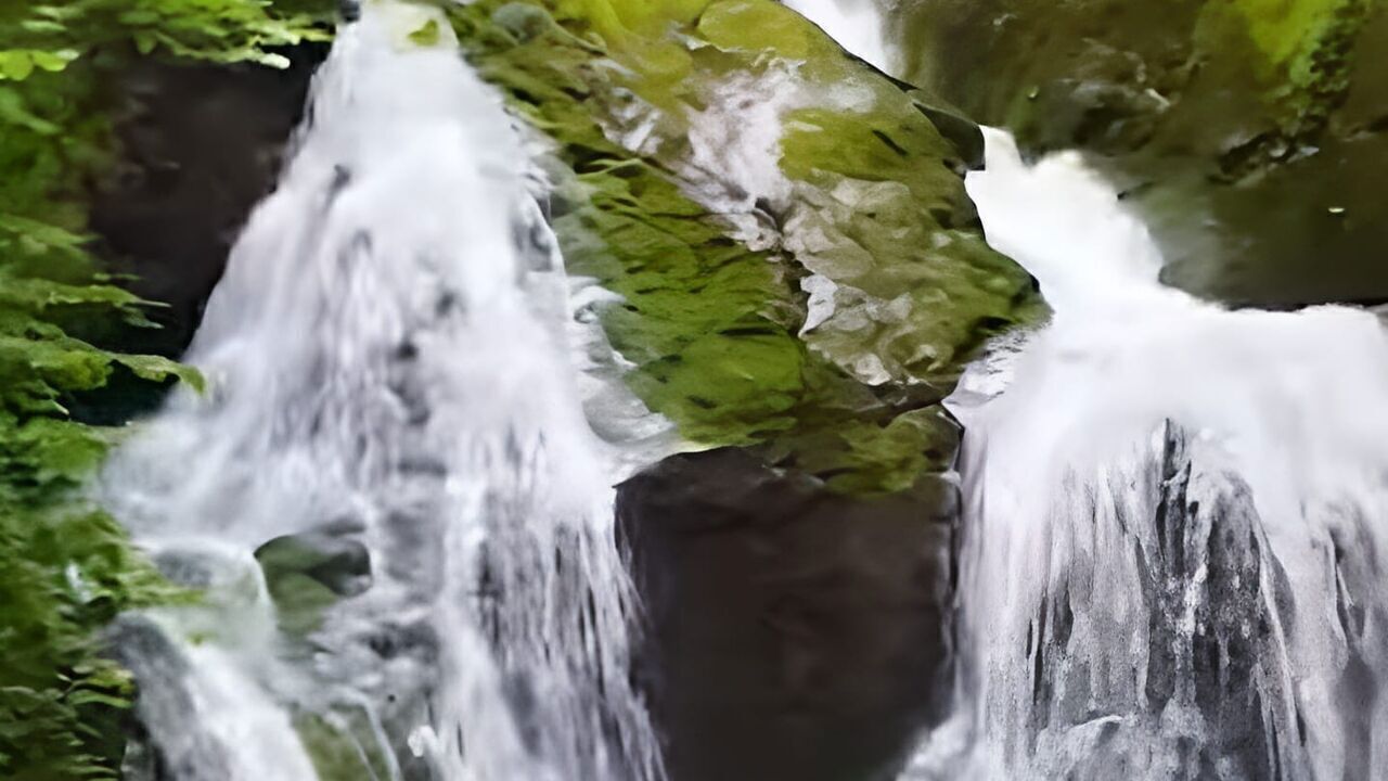 Slika oddaje