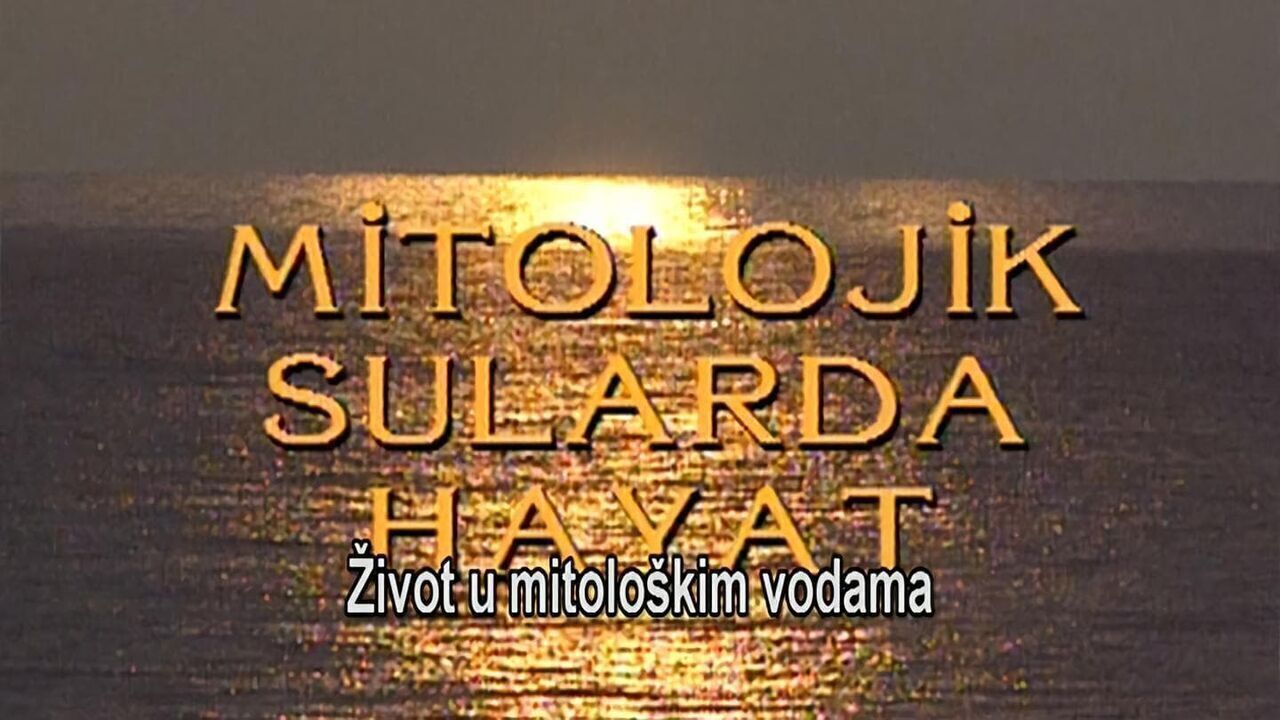 Slika oddaje