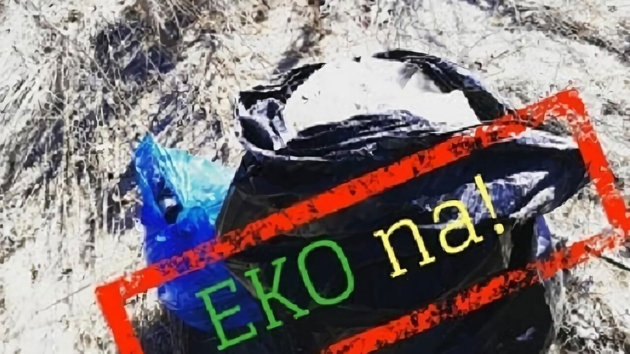 Slika oddaje