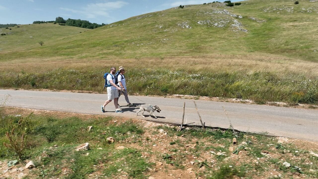 Slika oddaje