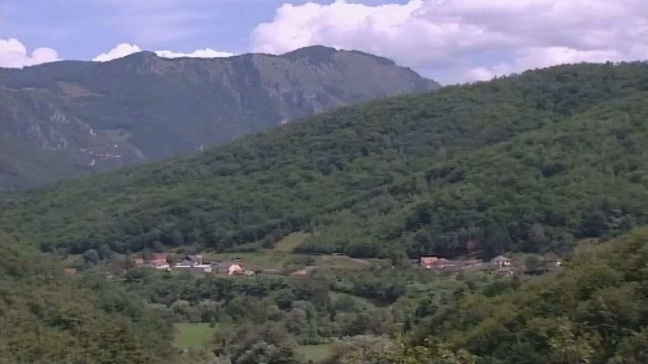 Slika oddaje