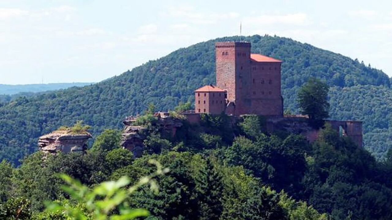 Slika oddaje
